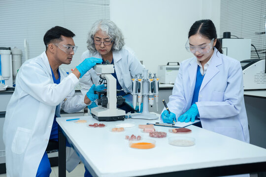 Team food safety scientists testing meat samples in laboratory for contamination and chemical residue analysis.