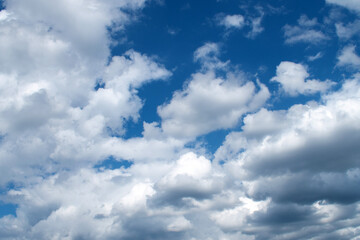 Fototapeta premium Summer morning blue sky with clouds, macro.