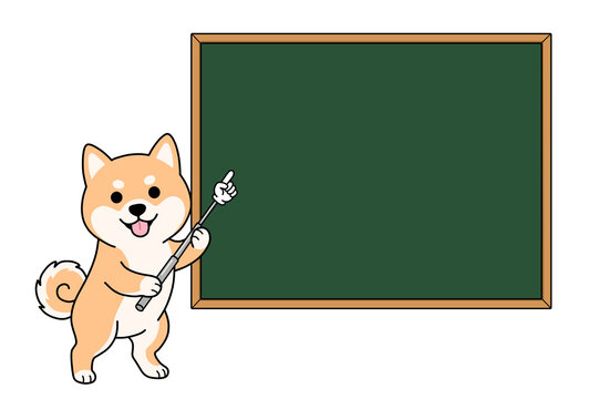 Cute Shiba Inu dog holding a pointing stick next to a blank green chalkboard, cartoon mascot character isolated on white background