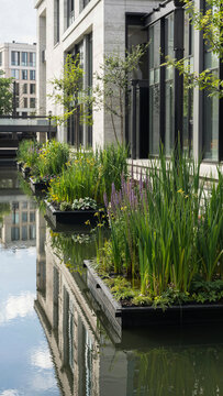 Green plants grow in boxes on the water surface next to modern buildings. The sun lights up the scene as people walk in the area. Trees provide some shade
