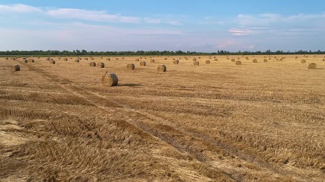 Aerial flight follows parallel tractor tracks across a harvested field dotted with round straw bales revealing flattened grain residue repeating tire marks and a rural horizon in summer light