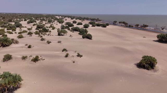 Aerial drone shot overlooking vast sand dunes dotted with doum palm trees near the shoreline of Lake Turkana, Kenya, under a clear pale blue sky.