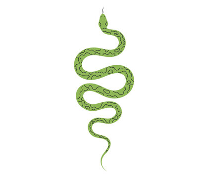 Long winding green snake with textured pattern coiling from top to bottom in an S shape. Flat vector illustration