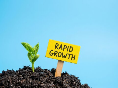 Young plant growing next to a Rapid Growth sign in soil suitable for business expansion content symbolizing progress and quick development