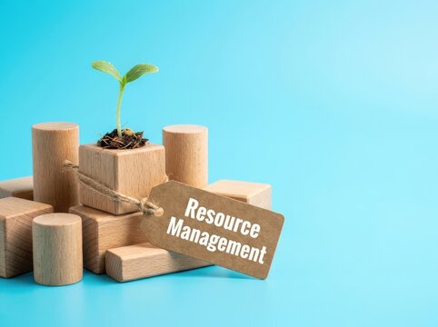 Green plant growing on wooden blocks with a Resource Management tag ideal for business strategy symbolizing sustainable allocation and growth
