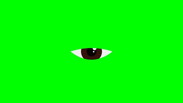Animated human eye blinking and looking around on green screen