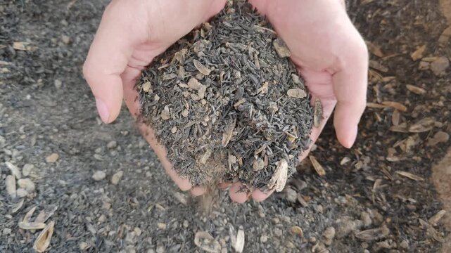 A close-up shot of two hands scooping and holding dark-colored rice husk charcoal potting mix, with particles falling between the fingers onto a pile of organic potting material.