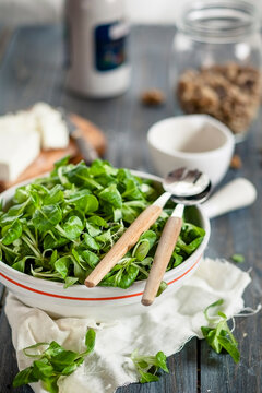 Bowl of lamb's lettuce, Valerianella locusta