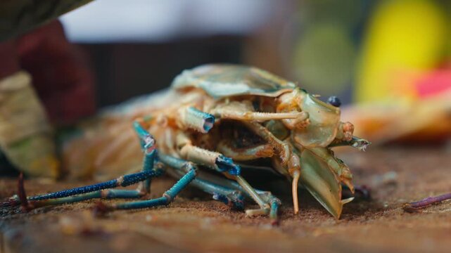 Cutting process of giant freshwater Rosenberg shrimp lat. Macrobrachium rosenbergii at fish market, seafood cutting process slow motion