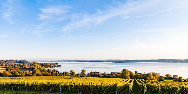 Germany, Baden-Wuerttemberg, Panoramic view of Lake Constance near Ueberlingen, vineyards