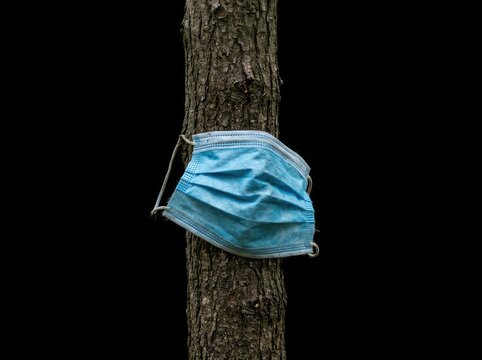 Blue surgical mask attached to a tree trunk on dark background suitable for environmental awareness symbolizing nature protection and medical waste