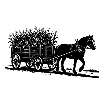 Horse pulling cart full of corn harvest