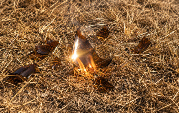 broken beer bottle glass igniting dry grass in sunlight creating wildfire and fire hazard