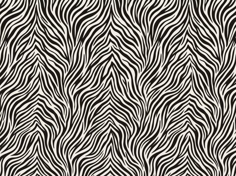 seamless zebra pattern