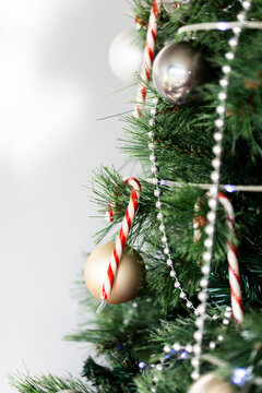 Red and white striped candy cane hanging in plastic Christmas tree with white copy space
