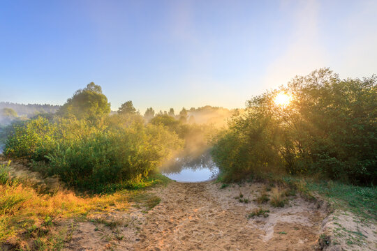 Misty sunrise over tranquil pond surrounded by greenery