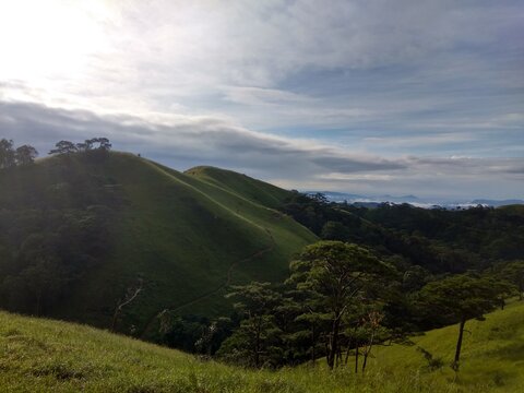 Lush Green Rolling Hills and Tropical Forest Landscape