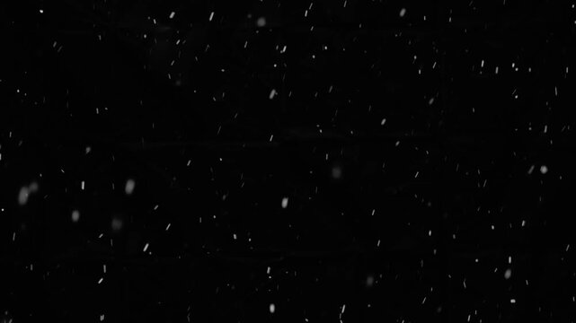 White snow isolated on black background, natural and real, winter nature, using for overlay effect