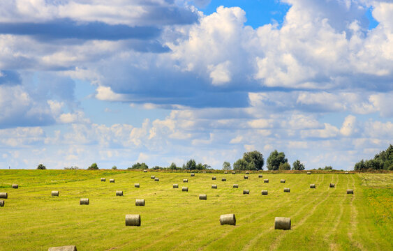 Rolls of straw rest on sunlit meadow beneath dramatic clouds
