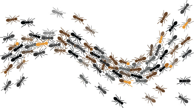 Marching ant colony trailing on white background in wavy vector pattern.