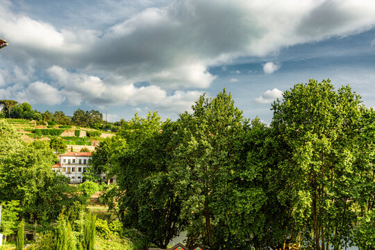 Amarante, Douro Valley, Portugal Picturesque view of Amarante, Portugal, with lush green trees in the foreground. White buildings peek through the foliage, nestled on a hillside. Cloudy skies suggest 