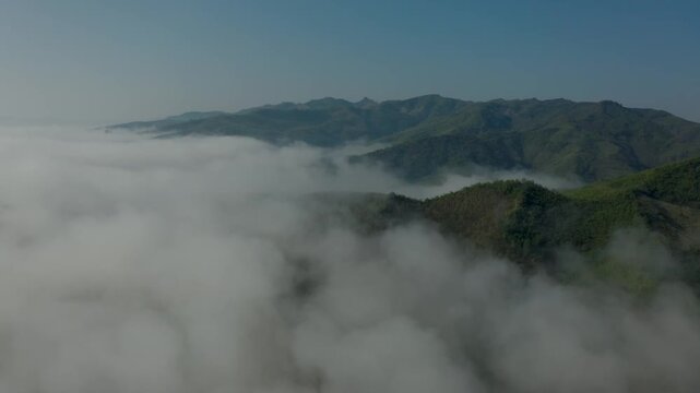High-altitude aerial drone shot looking down at terraced rubber tree plantations on mountain slopes shrouded in thick morning fog and clouds in Luang Namtha, northern Laos.