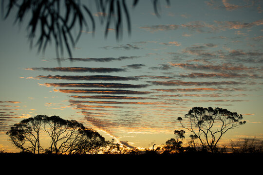 Ladder cloud formation, lit up by the setting sun