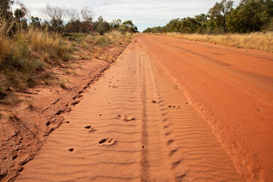 Tracks in red sand, on the edge of a red dirt road