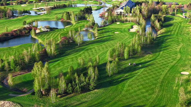 Perfect golfing conditions on a sunny summer day