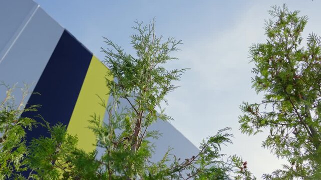 Evergreen foliage frames view of architectural facade and sunny sky. Greenery offers attractive landscape contrast to industrial exterior