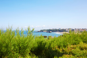 Fototapeta premium Panoramic View of the Biarritz Coastline and Lighthouse Framed by Lush Green Tamarisk Shrubs on a Clear Sunny Day, France