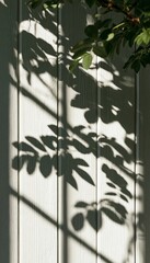 Naklejka premium Rustic Whitewashed Weathered Wood Planks With Romantic Dappled Foliage Shadows On Vertical Surface
