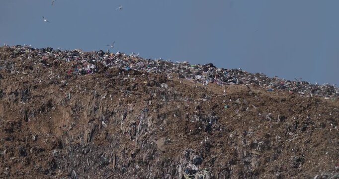 Distant view of municipal solid waste landfill site with scavenging birds in atmospheric heat shimmer slow motion