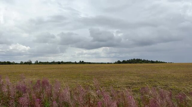 Open landing airfield and radio tower of Yorkshire Gliding Club on cloudy day. Sutton Bank, UK