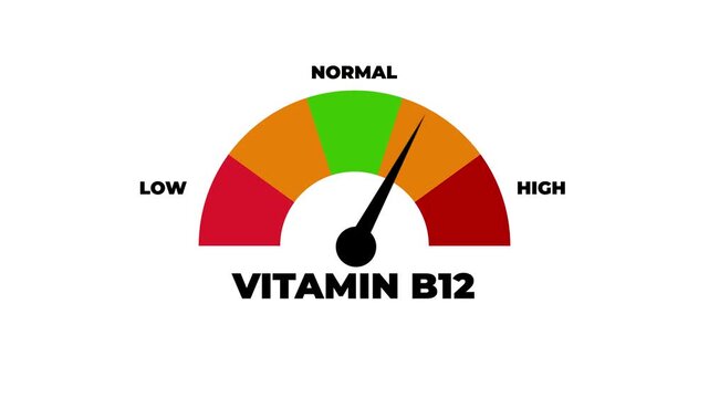 Vitamin B12 level meter gauge showing medium level with low and high indicators .4k motion graphics video