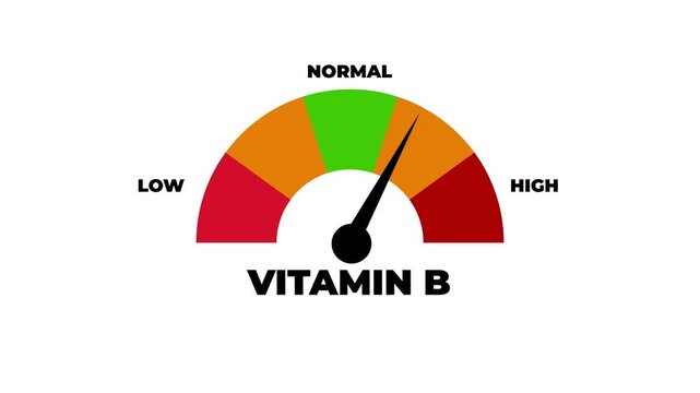 Vitamin B level indicator gauge showing medium concentration.4k motion graphics video
