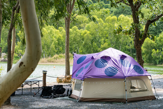 Purple Camouflage Tent in a Forest Clearing: A vibrant purple tent with a playful polka dot pattern stands ready for adventure in a serene forest clearing, beside a tranquil lake.