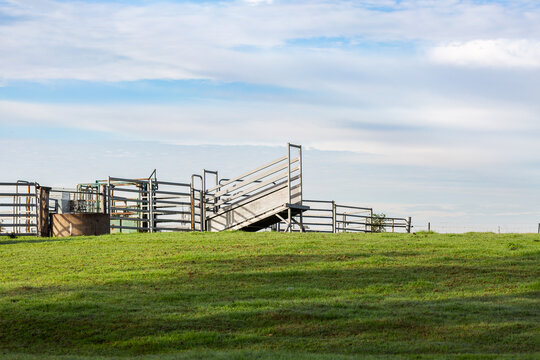 Metal cattle yard fence and chute on farm hilltop