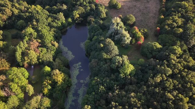 Aerial Video of Blackley Forest Waterbody, Meadow, and Woodland Manchester
