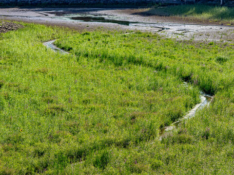 Trocken gelegter See