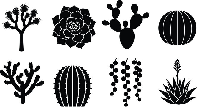 Cactus and Succulent Silhouette Icon Set