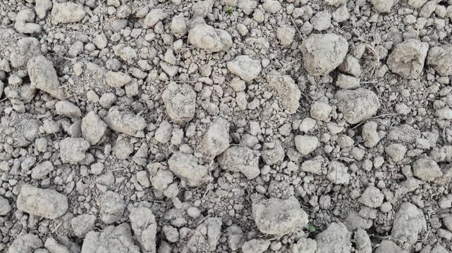 Dry Hard Soil Clods Texture Top Down Shot Ploughed Farmland Video
