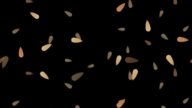Falling grains on black background. 2d animation