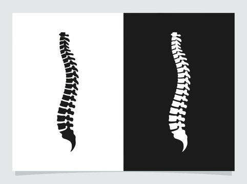 Outline and black fill icon set featuring a human backbone spinal column symbol backbone vertebrae