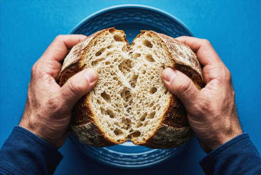 Hands pulling apart a loaf of sourdough bread