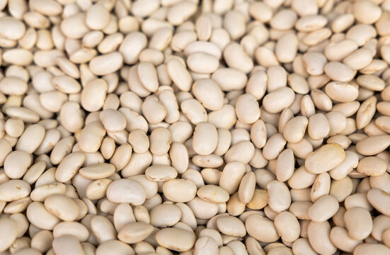 Full frame background of raw white navy beans