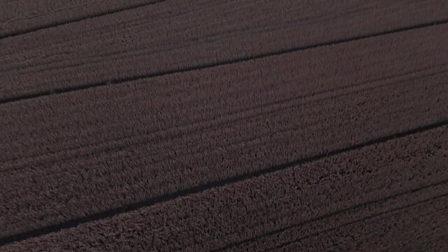 Cultivated fields and scattered hay bales stretch across the Po Valley agricultural plain in northern Italy, with rural settlements beneath a warm sunset, drone camera tilt up.