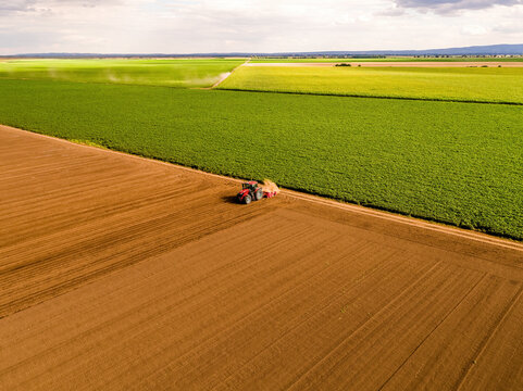 Tractor tilling and planting carrot seeds in freshly prepared soil alongside a vibrant green crop, creating new growth
