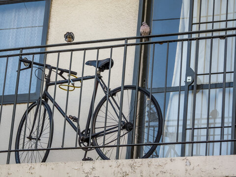 Bicycle and Two Pigeons Behind a Metal Railing