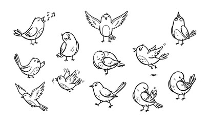 Obraz premium Hand Drawn Bird Sketch Doodle Collection Cute Black and White Vector Illustration